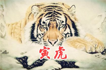 1986年属虎人2025年运势及运程 86年属虎人全年运势