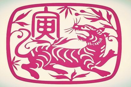 1986年属虎人2025年运势及运程 86年属虎人全年运势