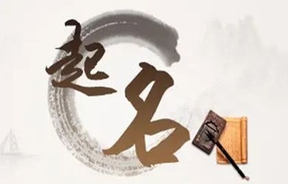 蔬菜配送起名字大全集，大气的蔬菜名字